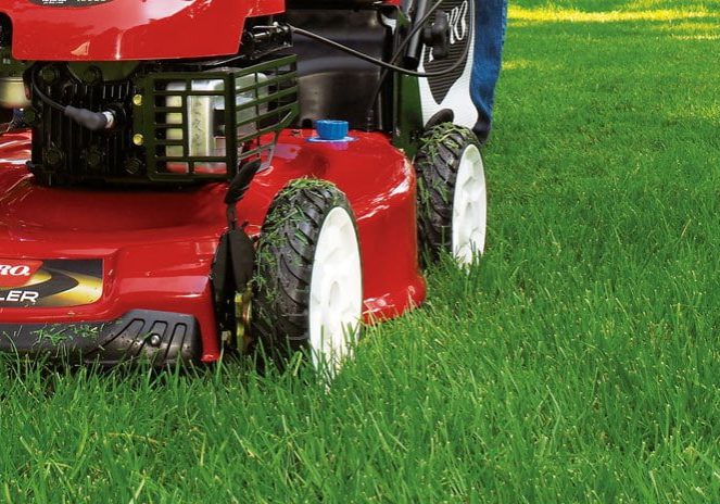 wpm_beauty_grass_closeup_loc